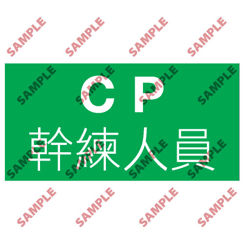 頭盔標貼類安全標誌貼紙 T17 印刷服務