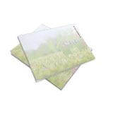 3” x 4” 個人化便條簿 款式 20